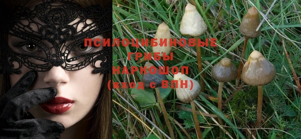 PSILOCYBIN Нефтекумск