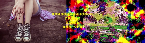 твердый Нефтегорск