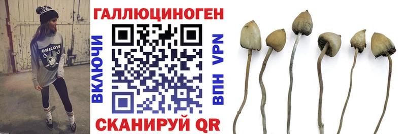 Псилоцибиновые грибы GOLDEN TEACHER  Каргополь 
